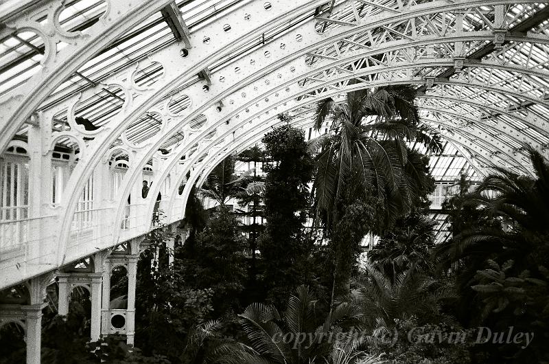 Palm House, Kew Gardens, London 12330016.JPG